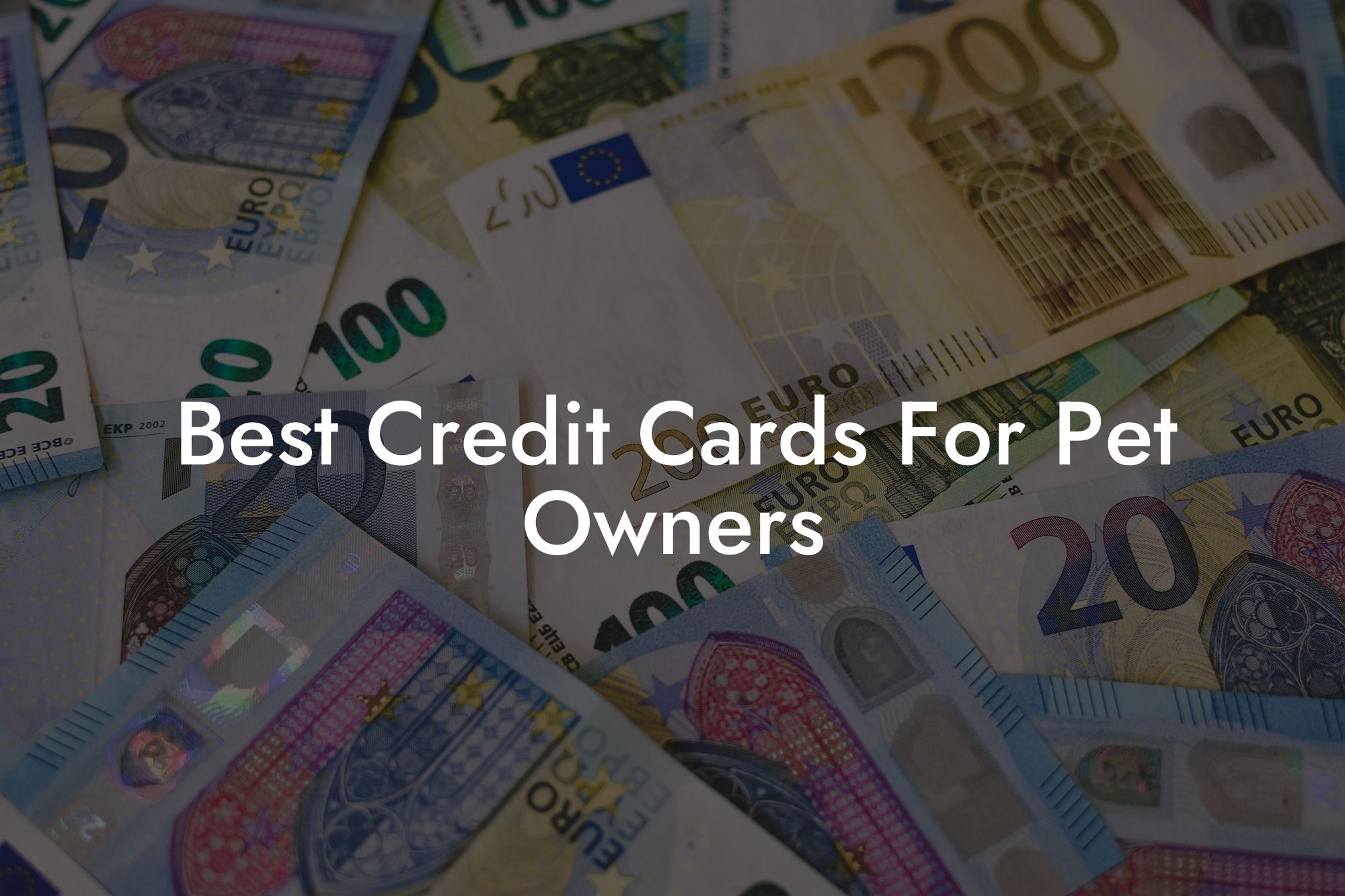 Best Credit Cards For Pet Owners