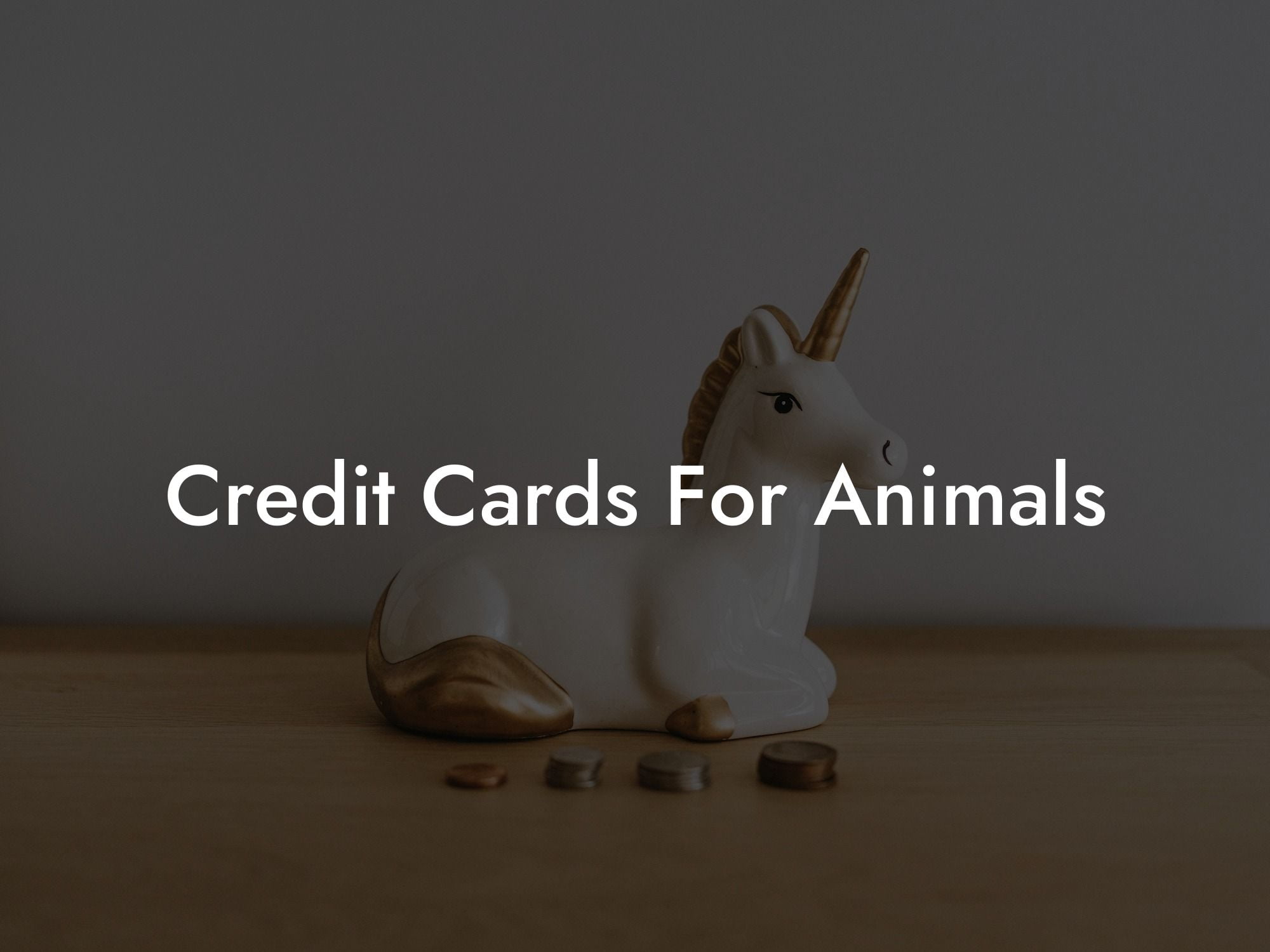 Credit Cards For Animals