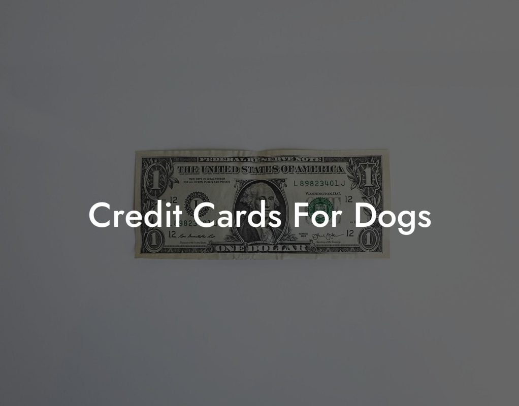 Credit Cards For Dogs