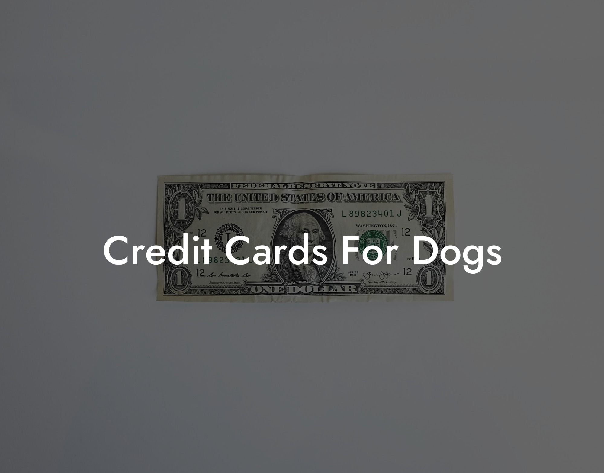 Credit Cards For Dogs