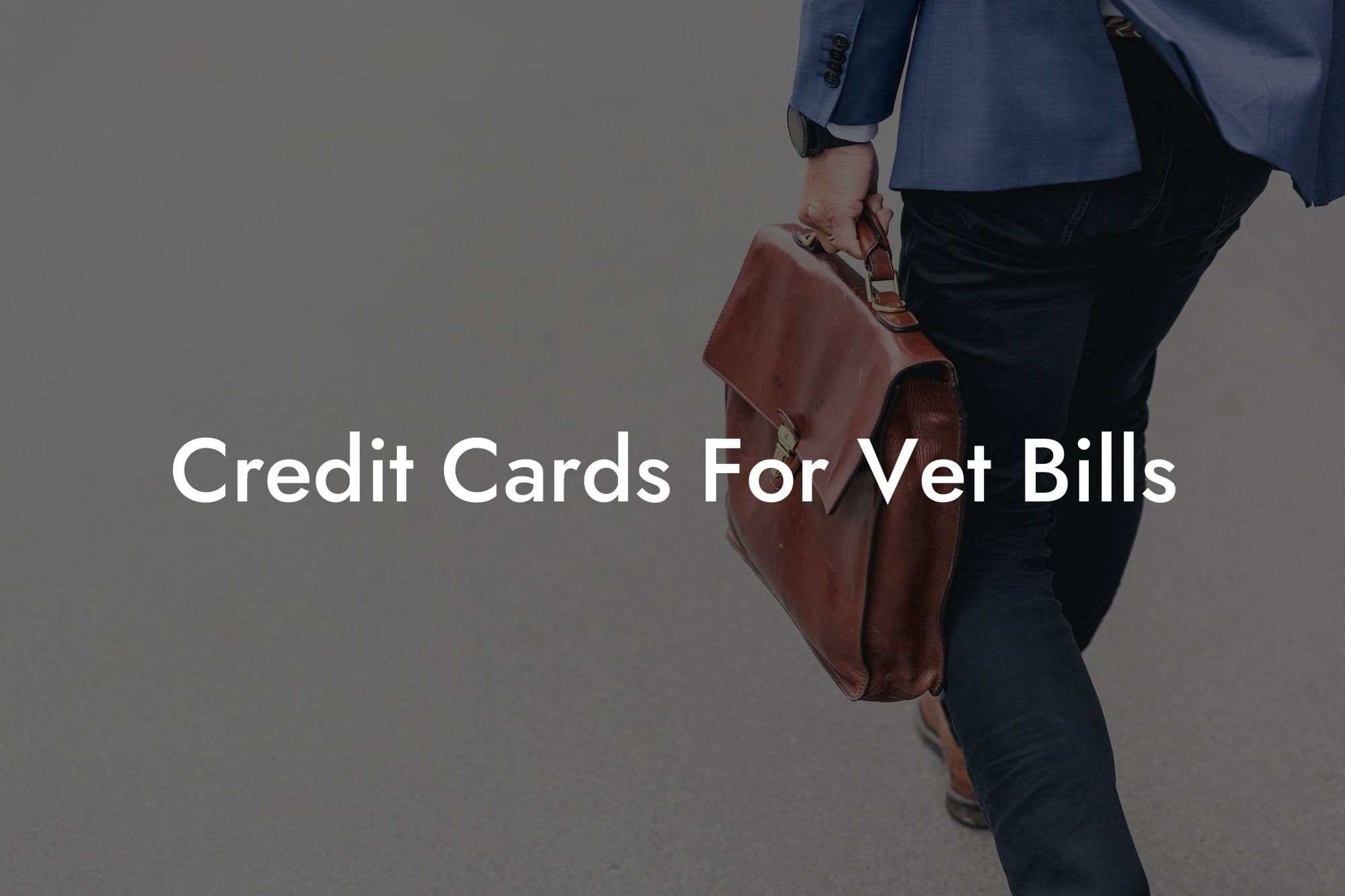 Credit Cards For Vet Bills