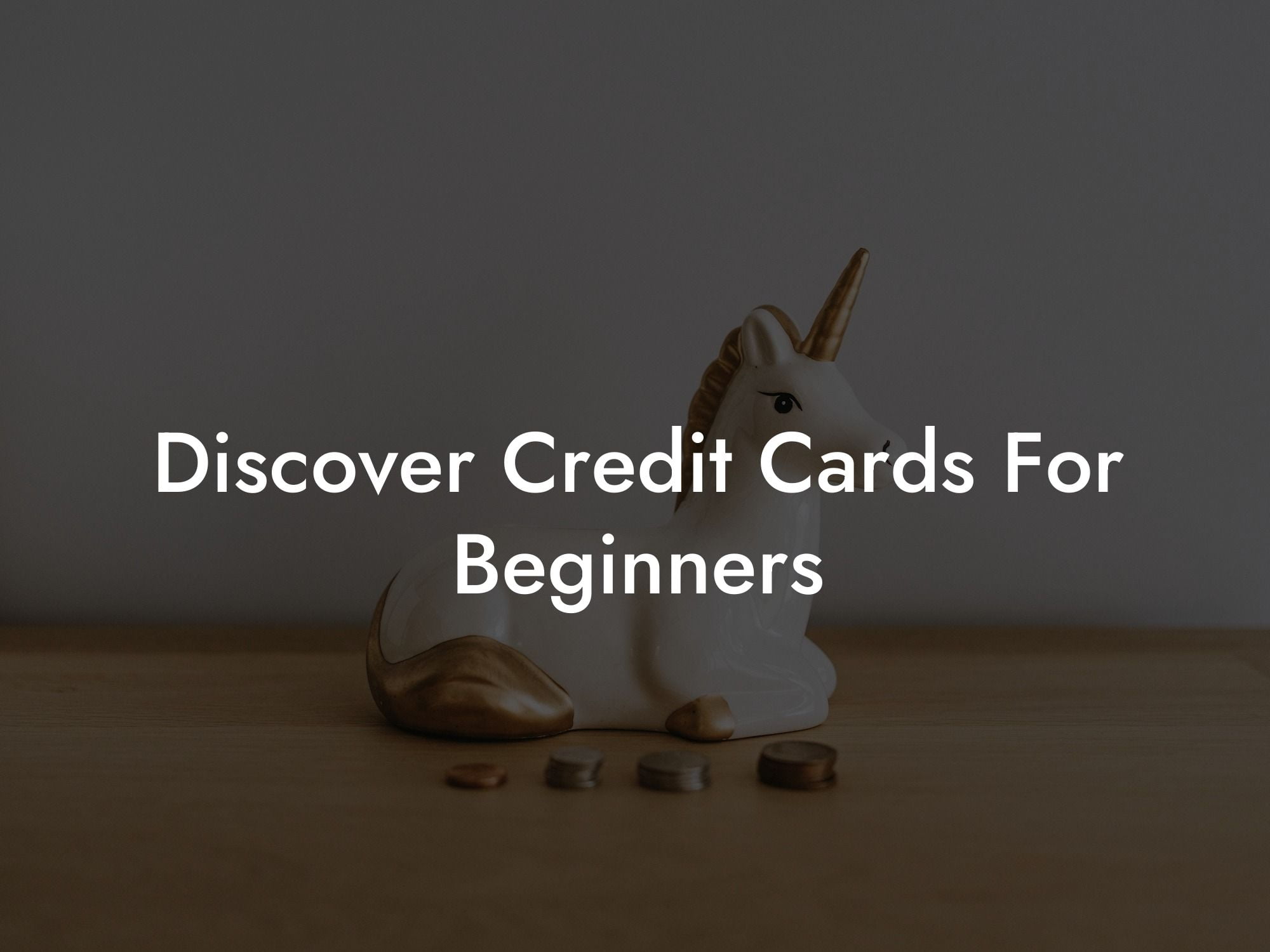 Discover Credit Cards For Beginners